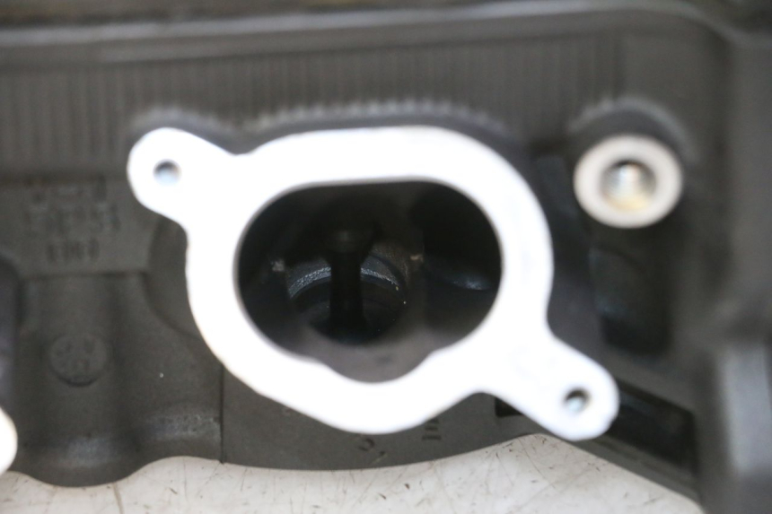 photo de Testata YAMAHA TDM ABS 900 (2002 - 2014)