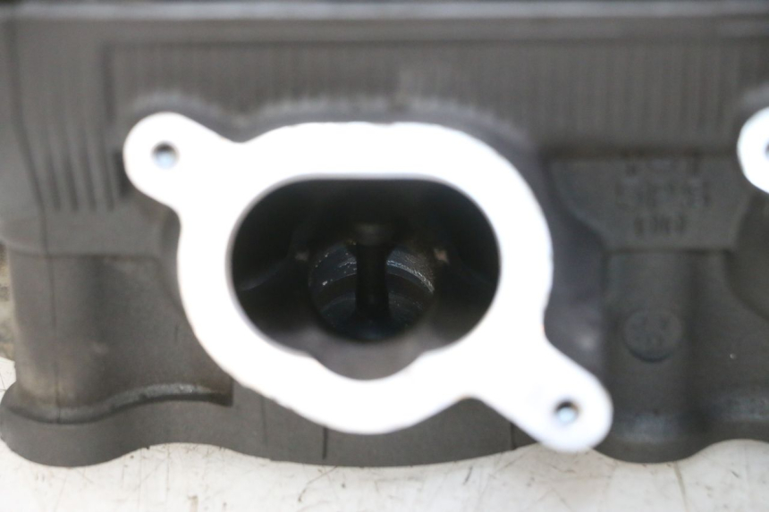 photo de Testata YAMAHA TDM ABS 900 (2002 - 2014)