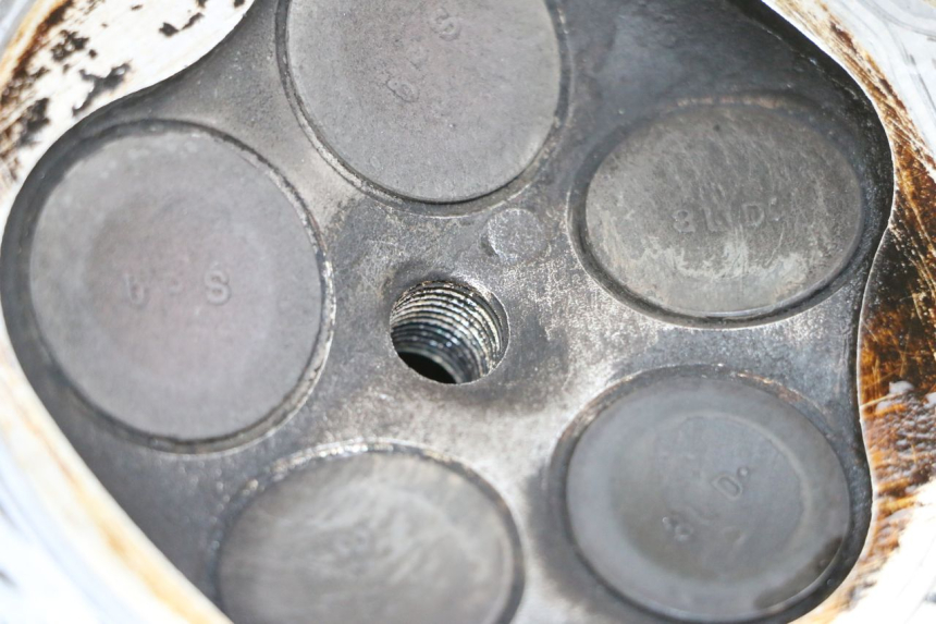 photo de Testata YAMAHA TDM ABS 900 (2002 - 2014)