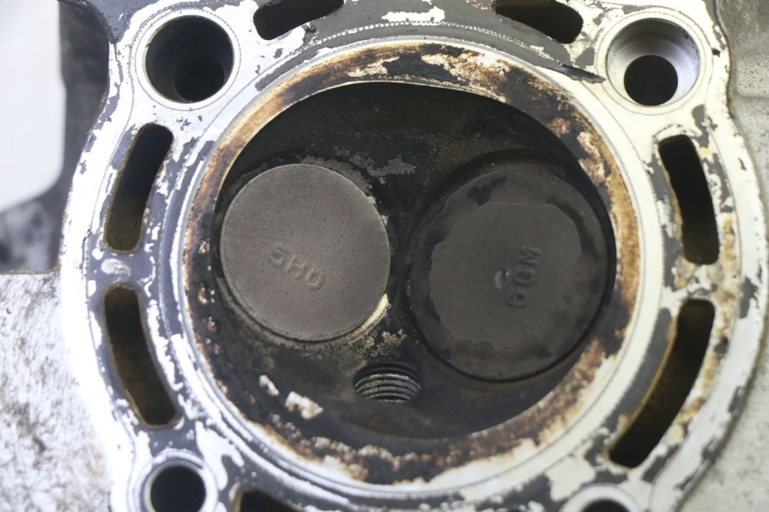 photo de TESTATA YAMAHA X-MAX XMAX 250 (2006 - 2009)