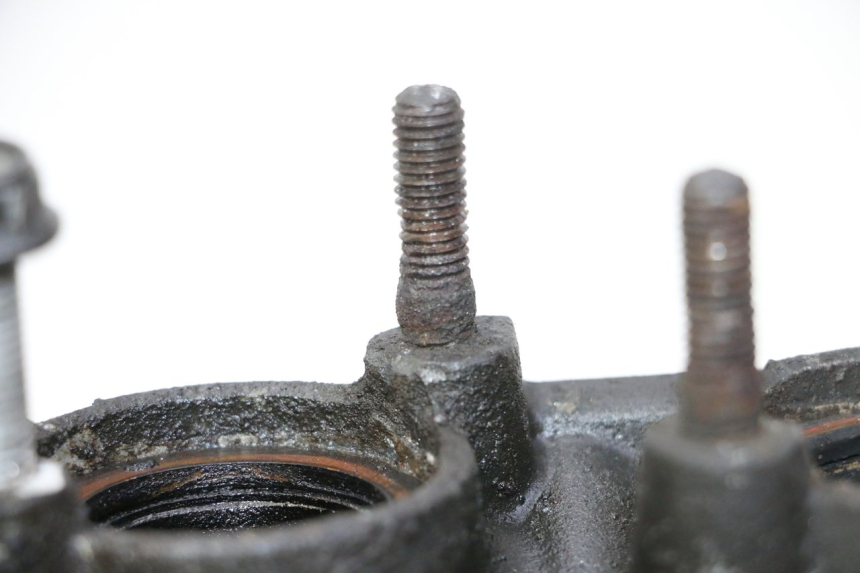 photo de TESTATA YAMAHA XJ6 600 (2008 - 2016)