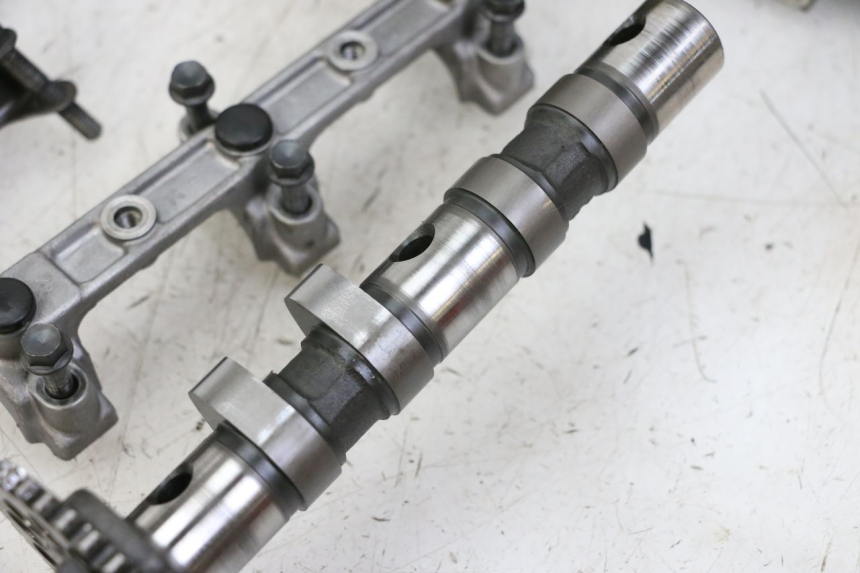 photo de TESTATA YAMAHA FZS FAZER 600 (2001 - 2003)