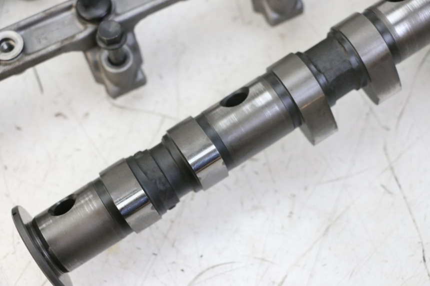 photo de TESTATA YAMAHA FZS FAZER 600 (2001 - 2003)