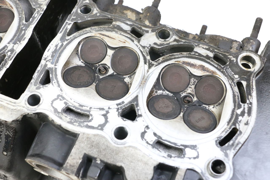 photo de TESTATA YAMAHA FZS FAZER 600 (2001 - 2003)