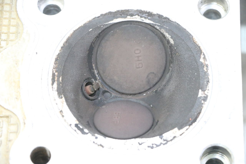 photo de TESTATA YAMAHA YFM R RAPTOR 250 (2008 - 2014)