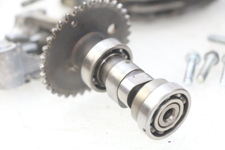 photo de TESTATA YAMASAKI YM T 125 (2015 - 2020)