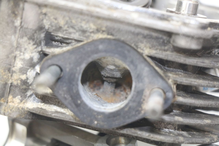 photo de TESTATA YAMASAKI YM T 125 (2015 - 2020)