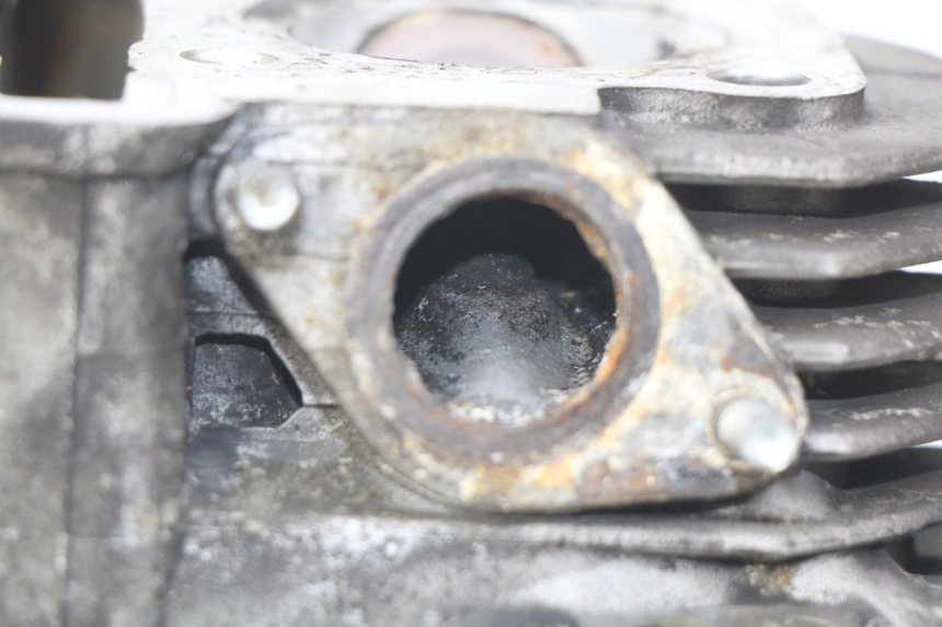 photo de TESTATA YAMASAKI YM T 125 (2015 - 2020)