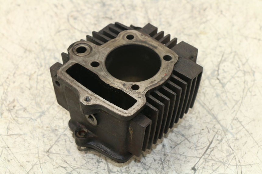 photo de CILINDRO PANTHERA PANTHERA 110 (2010 - 2017)