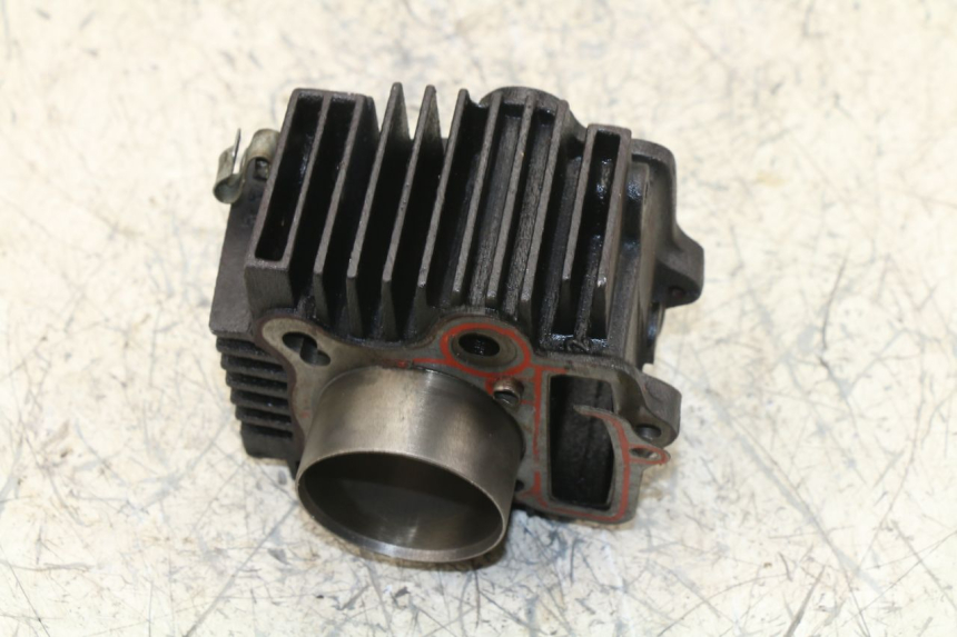 photo de CILINDRO PANTHERA PANTHERA 110 (2010 - 2017)