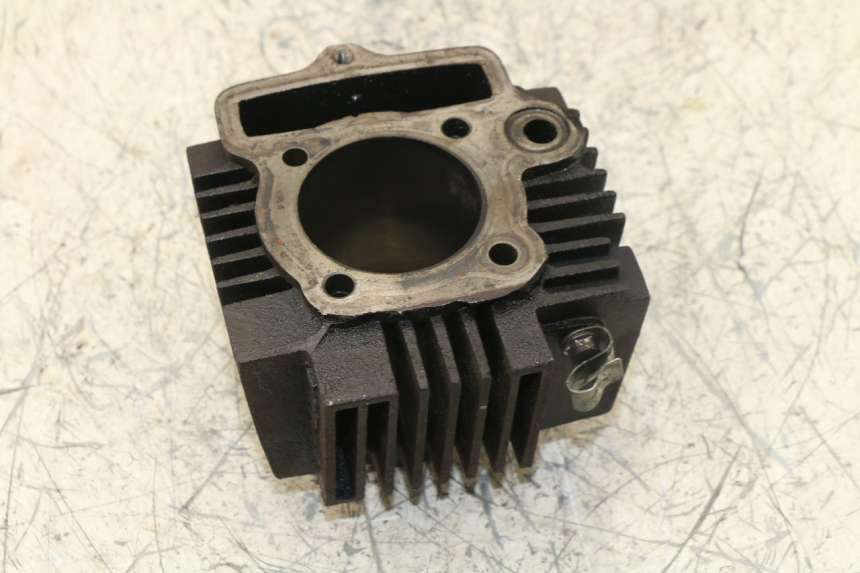 photo de CILINDRO PANTHERA PANTHERA 110 (2010 - 2017)