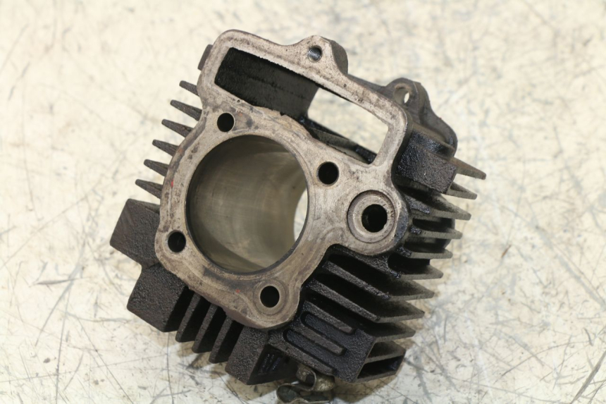 photo de CILINDRO PANTHERA PANTHERA 110 (2010 - 2017)