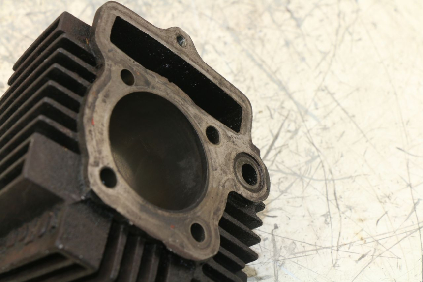 photo de CILINDRO PANTHERA PANTHERA 110 (2010 - 2017)