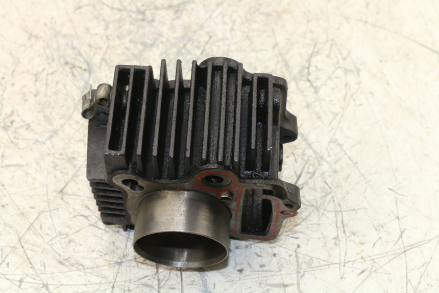 photo de CILINDRO PANTHERA PANTHERA 110 (2010 - 2017)