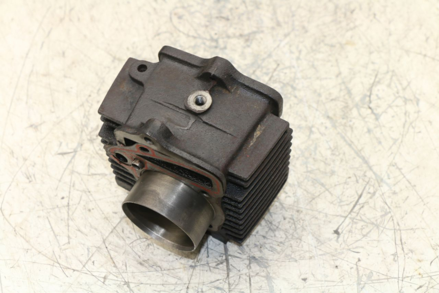 photo de CILINDRO PANTHERA PANTHERA 110 (2010 - 2017)