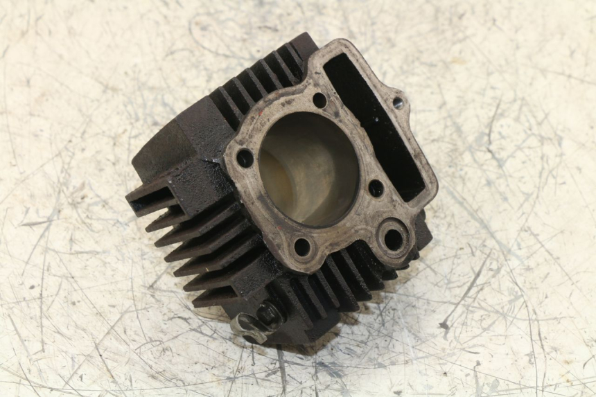 photo de CILINDRO PANTHERA PANTHERA 110 (2010 - 2017)