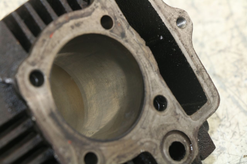 photo de CILINDRO PANTHERA PANTHERA 110 (2010 - 2017)