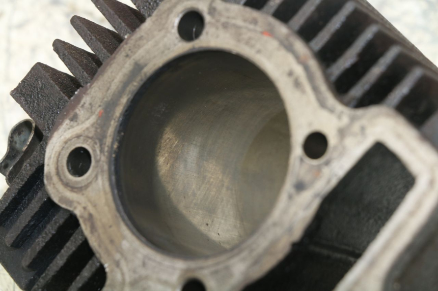 photo de CILINDRO PANTHERA PANTHERA 110 (2010 - 2017)