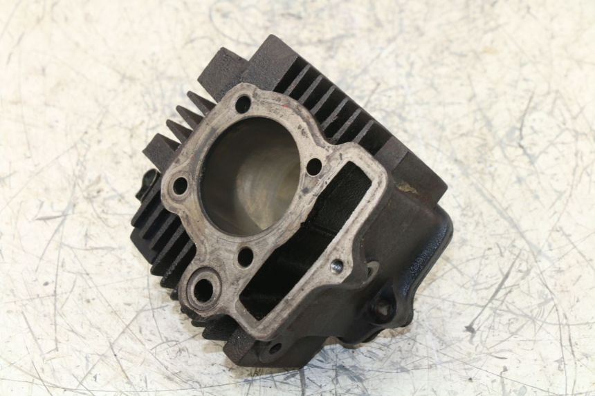 photo de CILINDRO PANTHERA PANTHERA 110 (2010 - 2017)