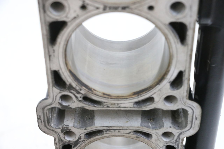 photo de CILINDRO PISTONE MV AGUSTA BRUTALE R WALLY 910 (2008 - 2008) - Caratteristiche distintive