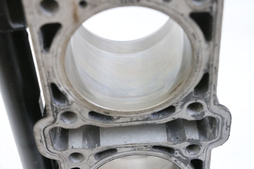 photo de CILINDRO PISTONE MV AGUSTA BRUTALE R WALLY 910 (2008 - 2008) - Panoramica del profilo