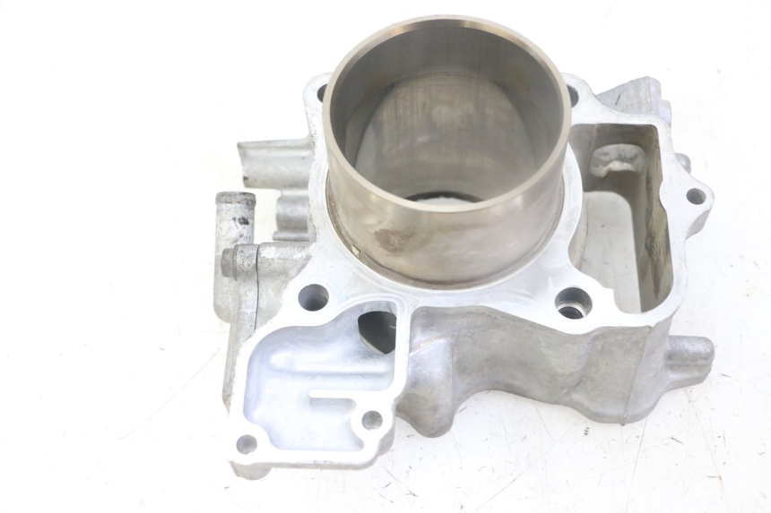 photo de CILINDRO PISTONE HONDA FORZA ABS 300 (2013 - 2019)