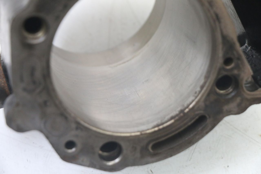 photo de CILINDRO PISTONE GILERA NEXUS 300 (2008 - 2013)