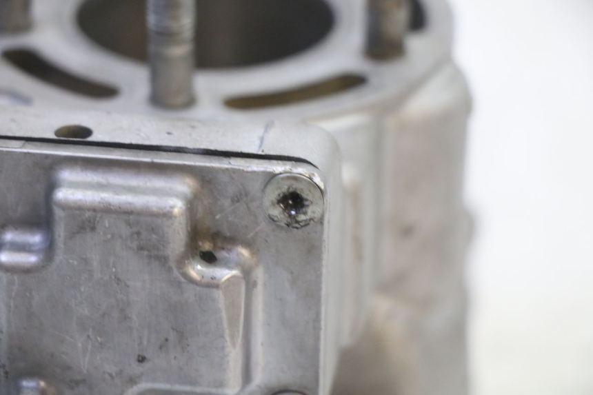 photo de CILINDRO PISTONE KAWASAKI KX 85 (2014 - 2021)
