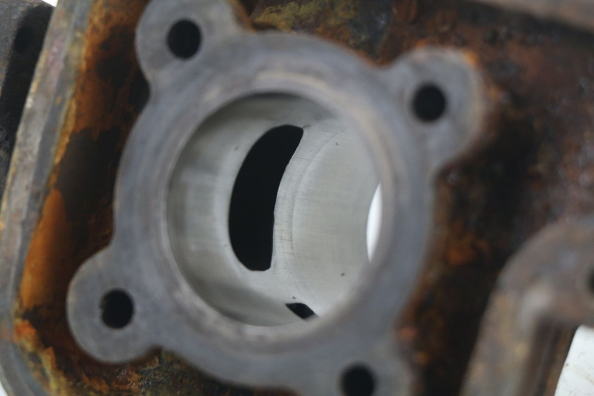 photo de CILINDRO PISTONE PEUGEOT LUDIX BLASTER 50 (2006 - 2014) - Zoom sui componenti