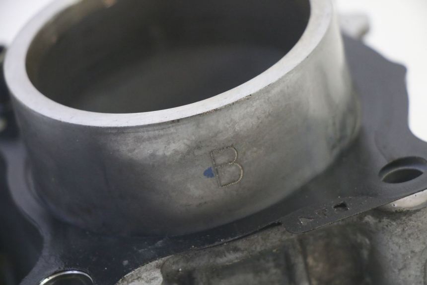 photo de CILINDRO PISTONE YAMAHA TRICITY 300 (2020 - 2024) - Vista d'insieme del prodotto