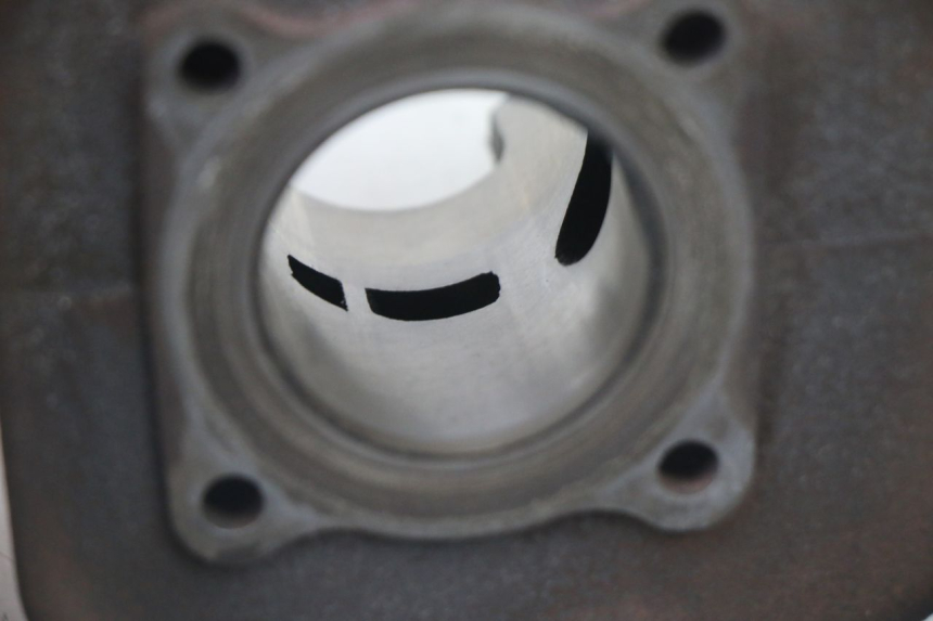 photo de CILINDRO PISTONE PEUGEOT VIVACITY NEW 2T 50 (2008 - 2017)