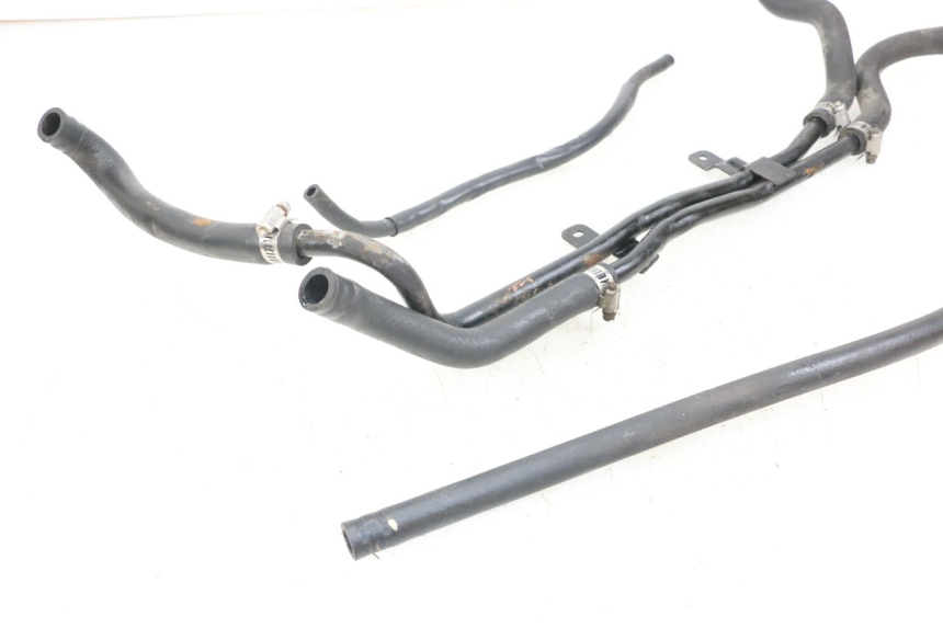 photo de TUBO RADIATORE DAELIM S3 125 (2010 - 2017)