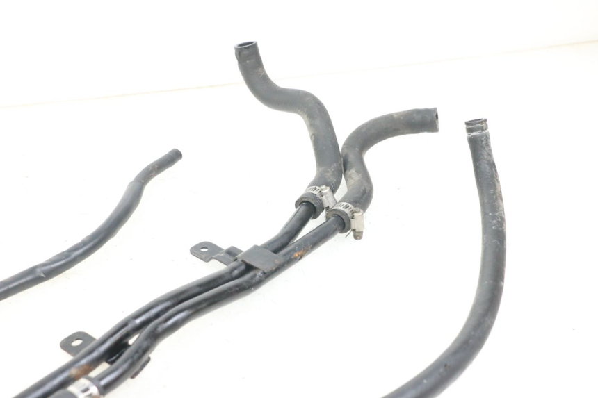 photo de TUBO RADIATORE DAELIM S3 125 (2010 - 2017)