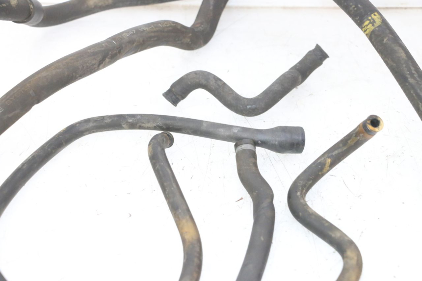 photo de TUBO DEL RADIATORE PIAGGIO MP3 RL 250 (2007 - 2010)