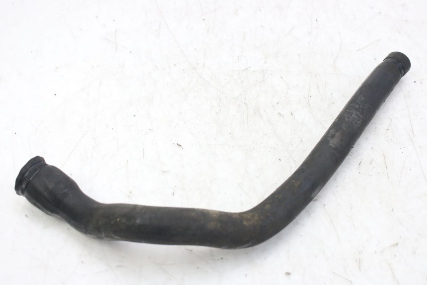 photo de TUBO DEL RADIATORE TRIUMPH SPRINT ST 955 (1999 - 2001)