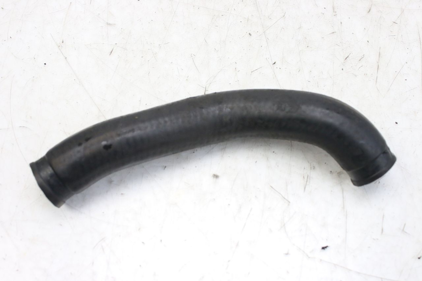 photo de TUBO DEL RADIATORE TRIUMPH SPRINT ST 955 (1999 - 2001)