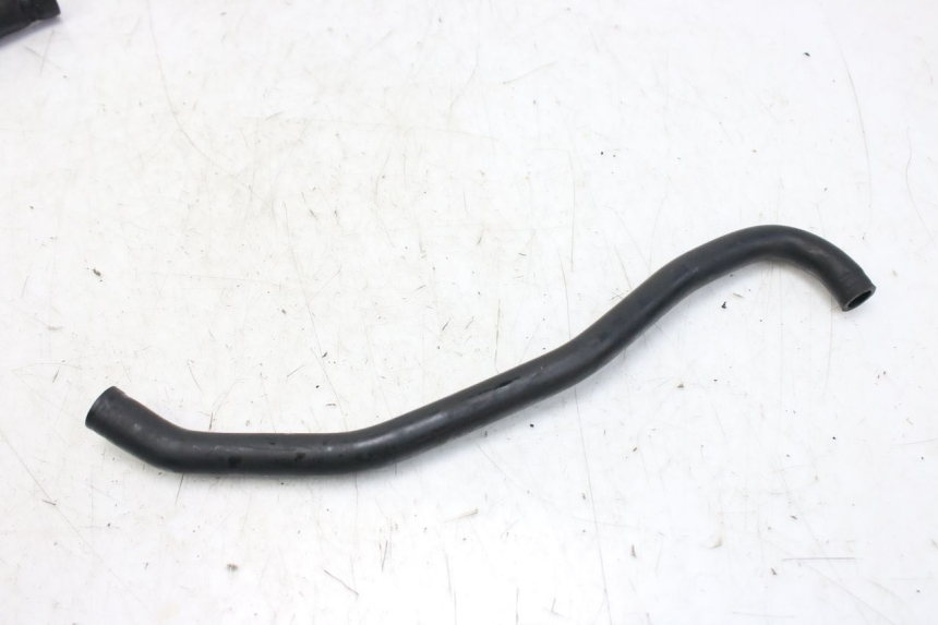 photo de TUBO DEL RADIATORE TRIUMPH SPRINT ST 955 (1999 - 2001)