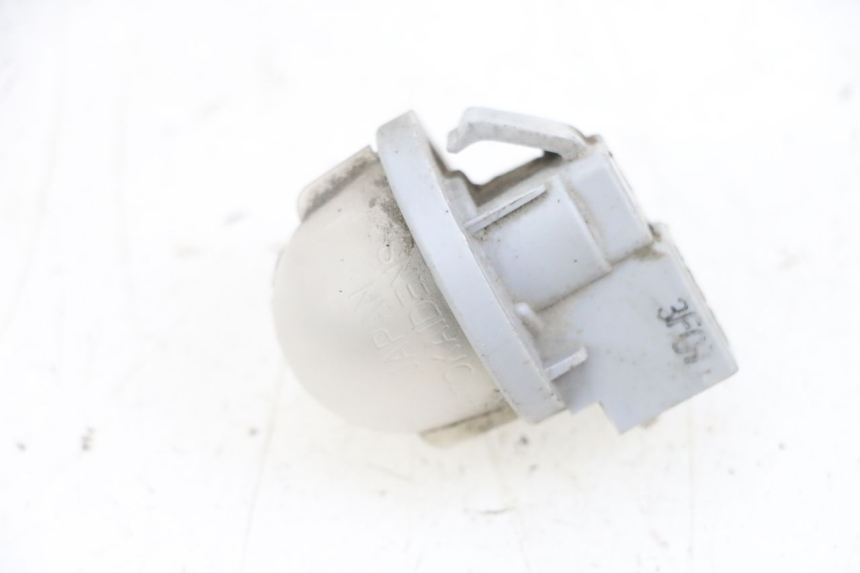 photo de LUCE TARGA SUZUKI BURGMAN 650 (2013 - 2020)