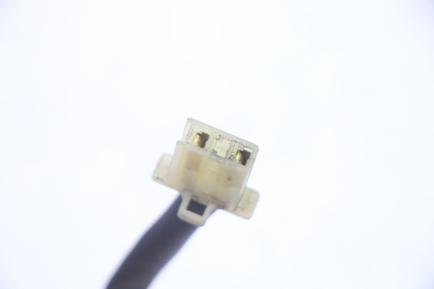 photo de LUCE TARGA HONDA FES S-WING SWING ABS 125 (2007 - 2015)