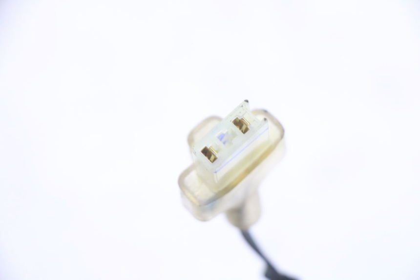 photo de LUCE TARGA HONDA PCX (JF57/JF64) 125 (2014 - 2018)