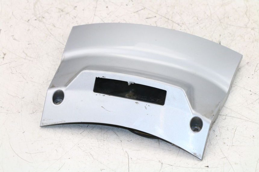 photo de Illuminazione della targa PIAGGIO X8 STREET 125 (2006 - 2007)