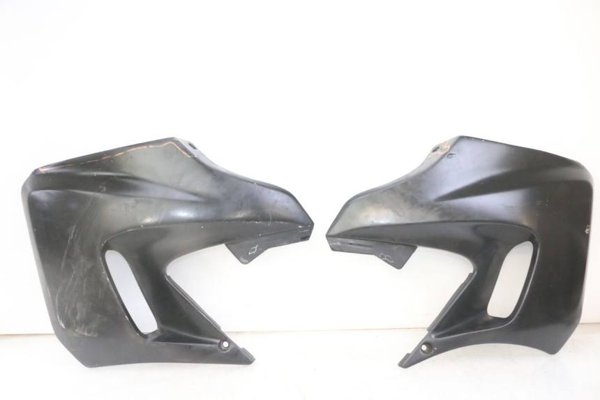 photo de FIANCHETTI RADIATORE YAMAHA TDR DELTABOX 125 (1993 - 2003)