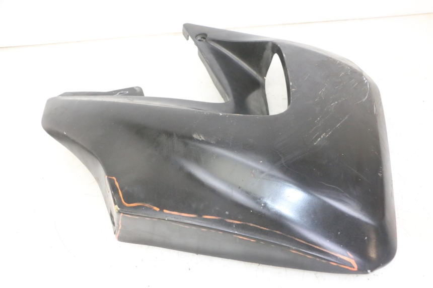 photo de FIANCHETTI RADIATORE YAMAHA TDR DELTABOX 125 (1993 - 2003)