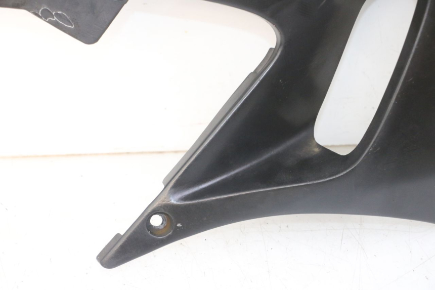 photo de FIANCHETTI RADIATORE YAMAHA TDR DELTABOX 125 (1993 - 2003)