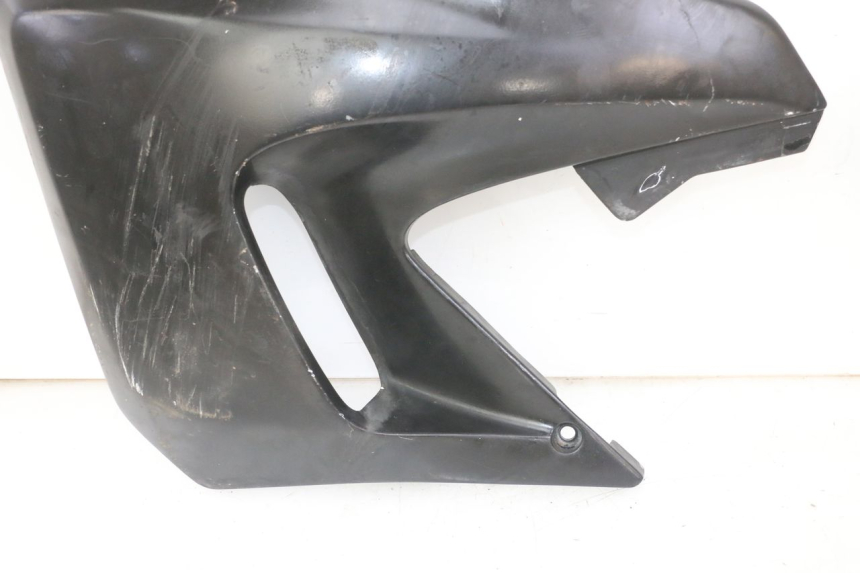 photo de FIANCHETTI RADIATORE YAMAHA TDR DELTABOX 125 (1993 - 2003)