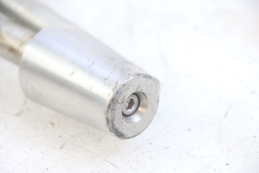 photo de TERMINALI MANUBRIO PEUGEOT GEOPOLIS RS 125 (2007 - 2009)