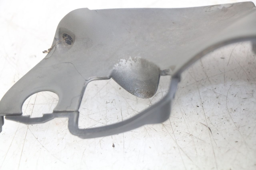 photo de FACCIATA ANTERIORE INTERNA HONDA FES PANTHEON 2T 125 (1998 - 2002)