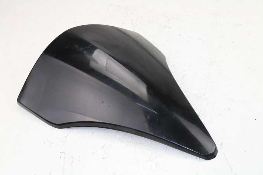 photo de FACCIATA ANTERIORE INTERNA PIAGGIO X10 500 (2012 - 2018)