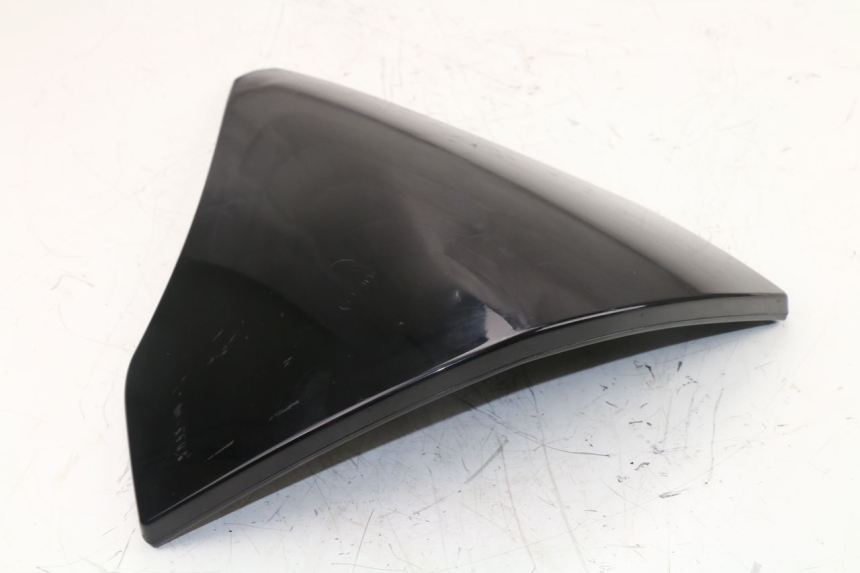 photo de FACCIATA ANTERIORE INTERNA PIAGGIO X10 500 (2012 - 2018)