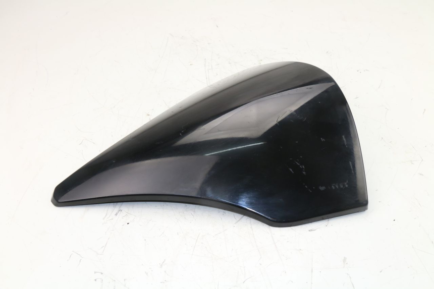 photo de FACCIATA ANTERIORE INTERNA PIAGGIO X10 500 (2012 - 2018)